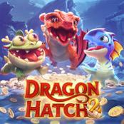 dragon hatch